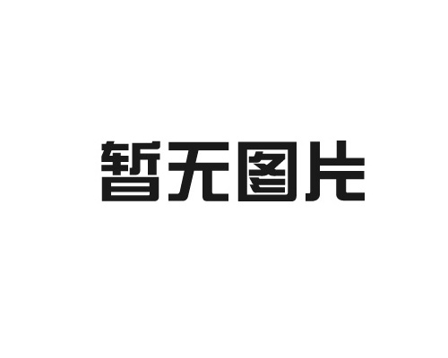 音叉物位开关